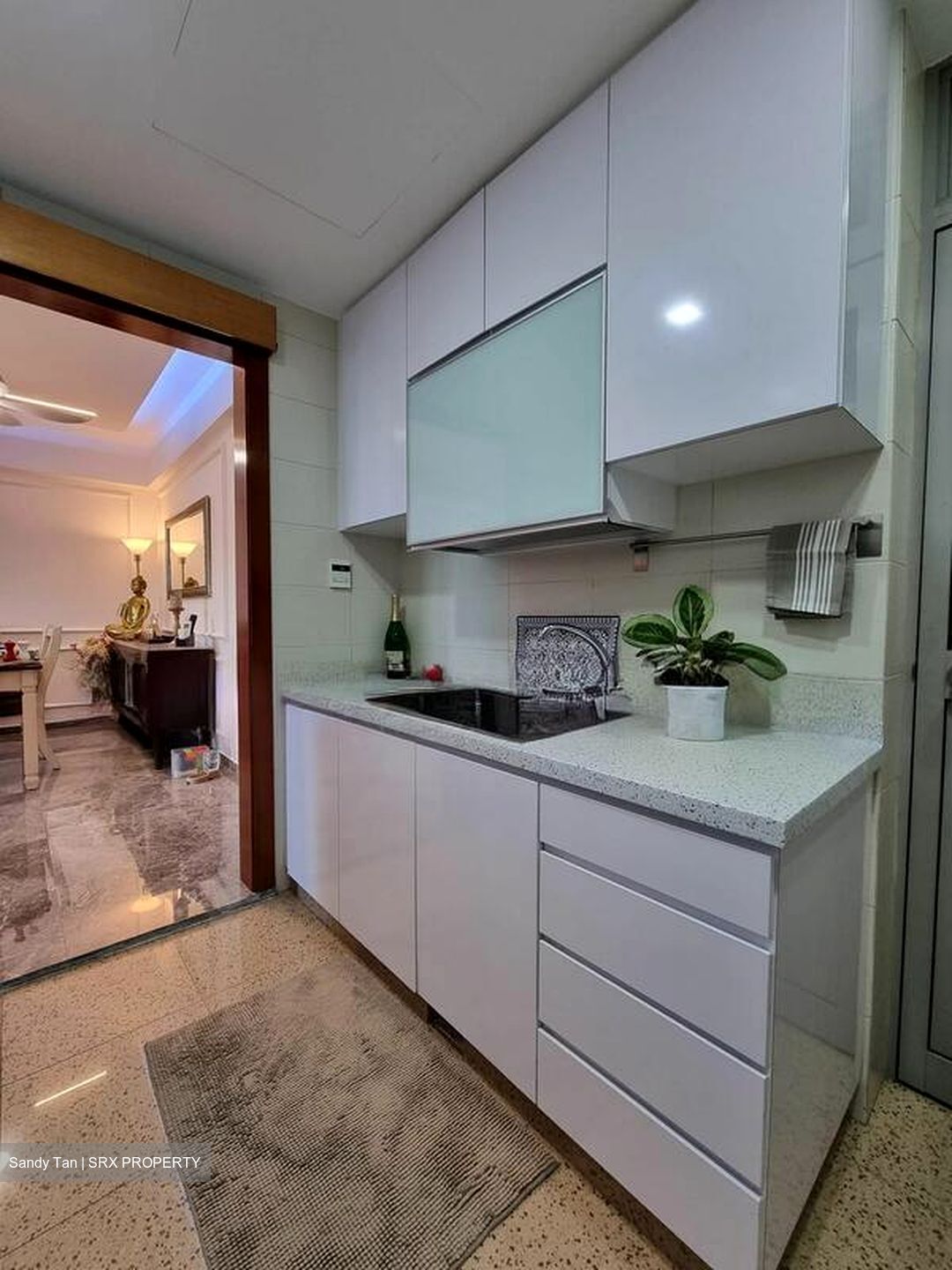 Blue Horizon (D5), Condominium #496297291